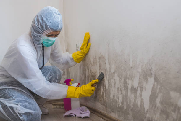 Best Professional Mold Removal  in Lyndon, KS