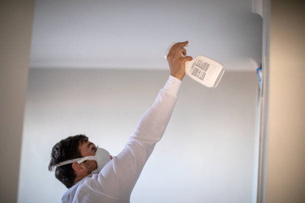 Best Attic Mold Removal  in Lyndon, KS