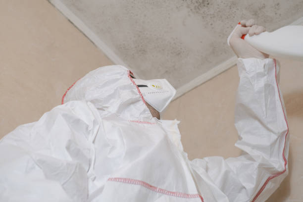 Best Mold Removal Specialists  in Lyndon, KS